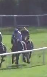 Called horse 50