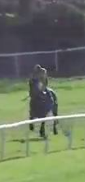 Called horse 53