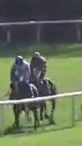 Called horse 50