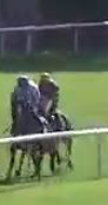 Called horse 50