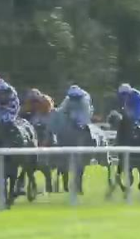 Called horse 71