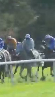 Called horse 71