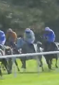 Called horse 71