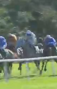 Called horse 71