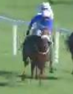 Called horse 127