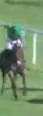 Called horse 135