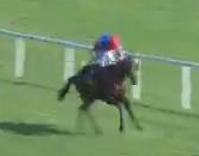 Called horse 150