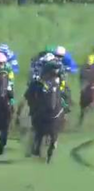 Called horse 176