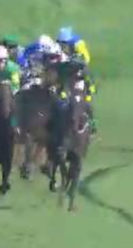 Called horse 176