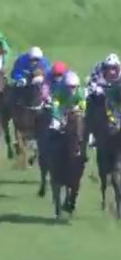 Called horse 178
