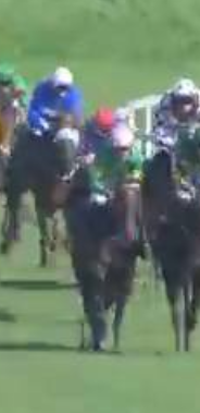 Called horse 178