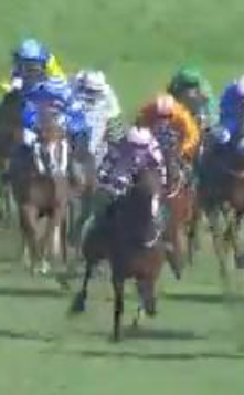Called horse 181