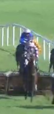 Called horse 181