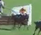 Called horse 230