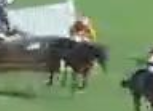 Called horse 230