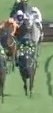 Called horse 247