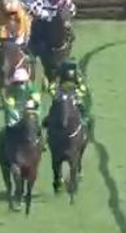 Called horse 247