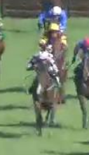 Called horse 248