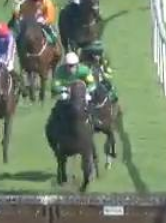 Called horse 247