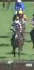 Called horse 248