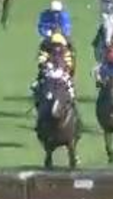 Called horse 248