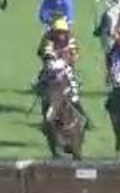 Called horse 248