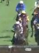 Called horse 248