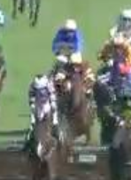 Called horse 248