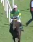 Called horse 247