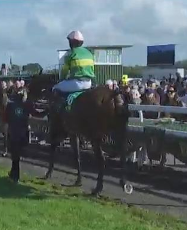Called horse 283