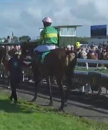 Called horse 283