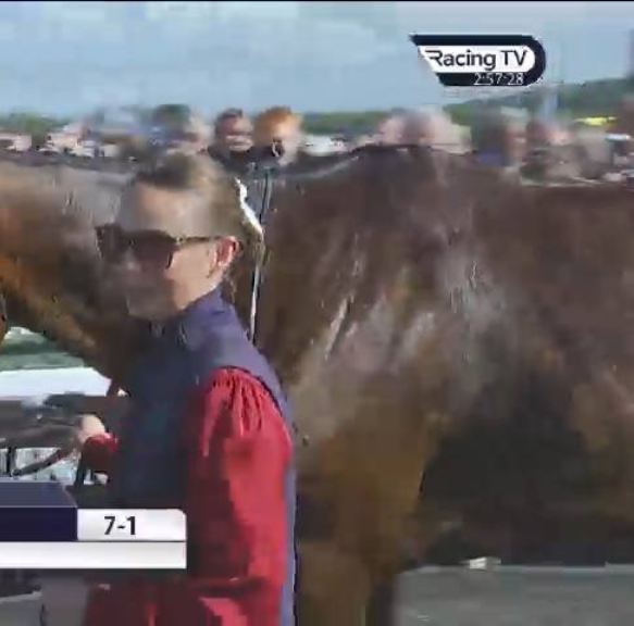 Called horse 296