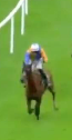 Called horse 61