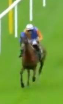 Called horse 61