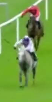 Called horse 64