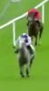 Called horse 64