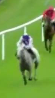 Called horse 64