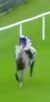Called horse 64