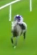 Called horse 64