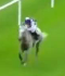 Called horse 64