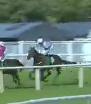 Called horse 661