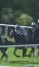 Called horse 723