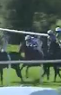 Called horse 723
