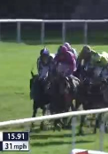 Called horse 768