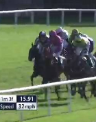 Called horse 768
