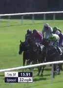 Called horse 768