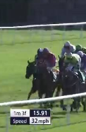 Called horse 768