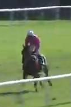Called horse 776
