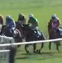 Called horse 772