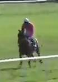 Called horse 776